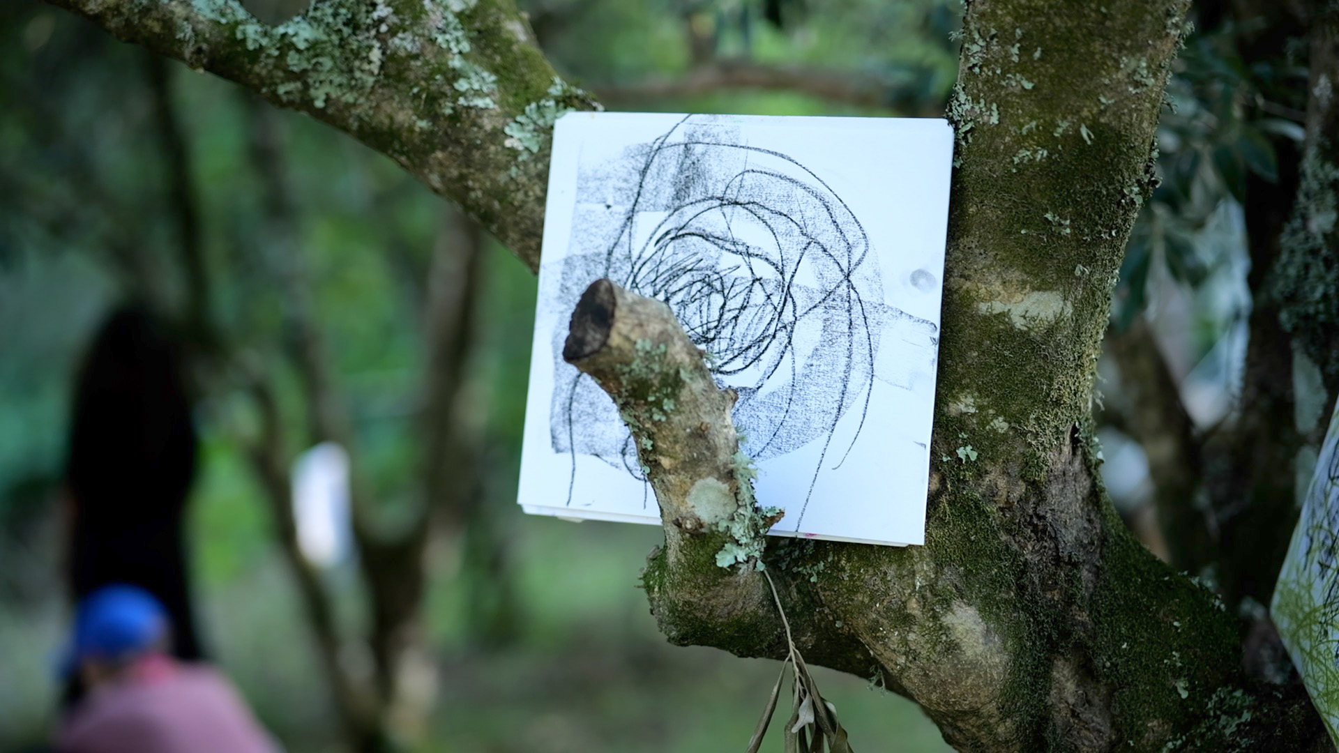 nature retreats